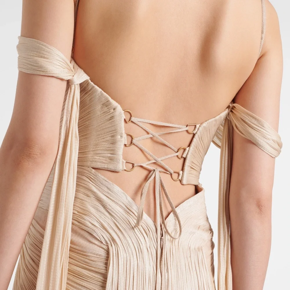 Maria Lucia Hohan Camilla Metallic Silk Bustier Gown $3,730 - Picture 3 of 10